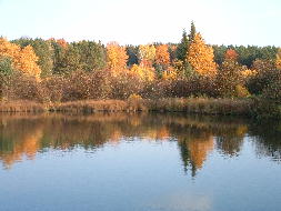 Lake Elizabeth - Courtesy of Don Desautels